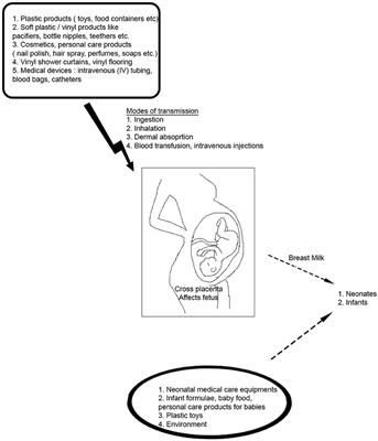 Phthalate Exposure and Long-Term Epigenomic Consequences: A Review